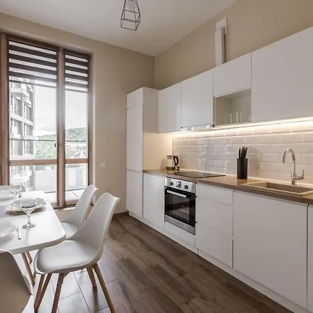 Appartement Inshiapartments On Pid Dubom Str Lviv